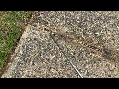 Found Some Pavement Ants Nesting in the Walkway in Lincroft, NJ