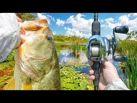 My BEST Summer Bass Fishing Day EVER (Big Topwater Bites)