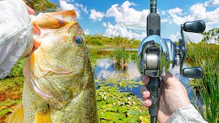 My BEST Summer Bass Fishing Day EVER (Big Topwater Bites)