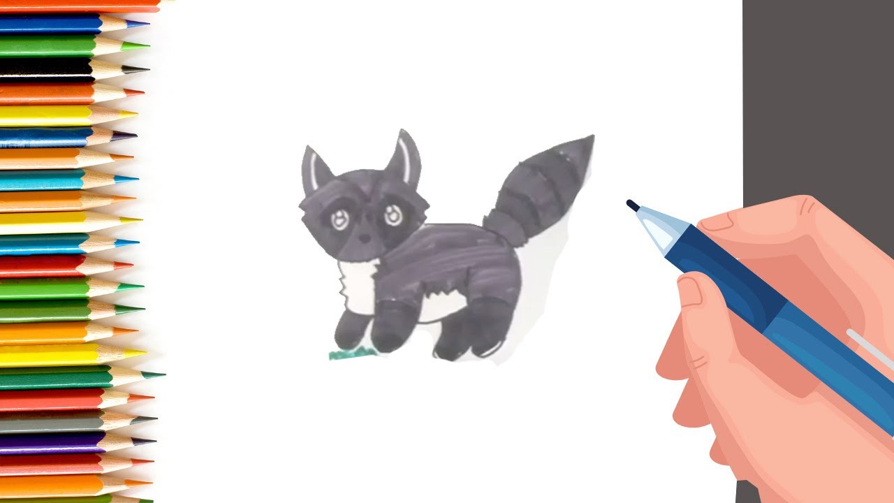 How to Draw a Raccoon with Parikshet
