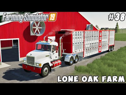 Buying horses, building big cow barn | Lone Oak Farm | Farming simulator 19 | Timelapse #38