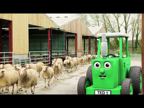 Tractor Ted - Hello Ewe!