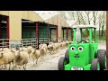 Hello Ewe Tractor Ted Full Episode Big Machines Tractors For Kids