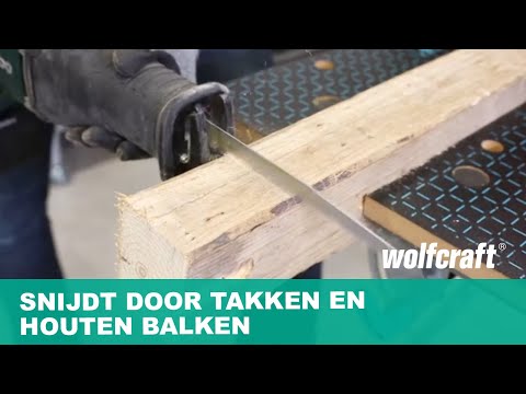 2295000_CV-Sabre-Saw-Blades-tree-trimming-rough-cut_PRO_MCP_nl_2019.mp4