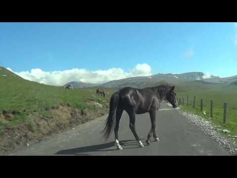 Cazare Turnu Severin - Cazat.ro