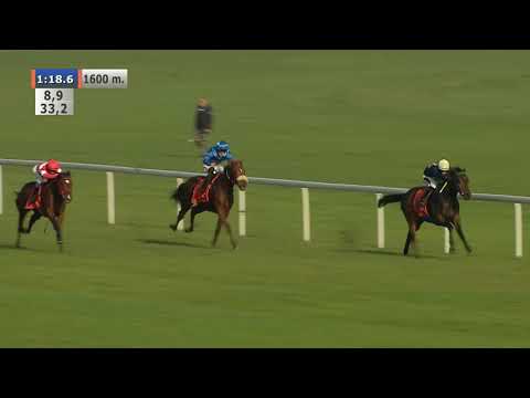 08.11.2020 (D47; G3; Tor: 4,0; 8°C) Nagroda Mokotowska - L (kat.A)