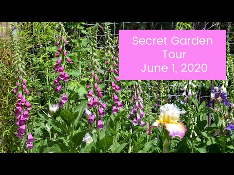 Secret Garden Tour June 1, 2020 (come see the blooms!)