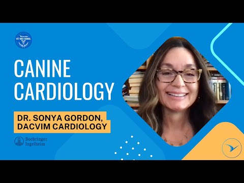 Canine Cardiology with Dr. Sonya Gordon - Veterinary Cardiologist