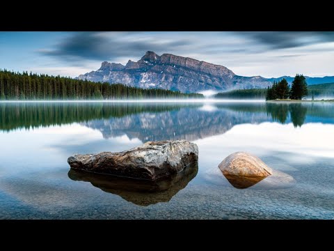 Alter Nature feat. Myrna — Senses (Original Mix)