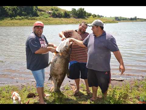 CARPA DE 75 KG É ENCONTRADA NA BARRAGEM EM RONDA ALTA - RS
