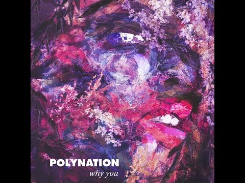 Polynation - Why You