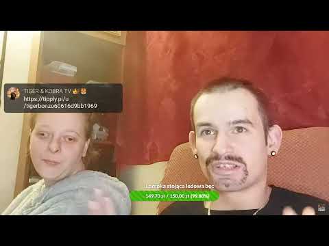 Tiger Bonzo question if he finished his studies and master's degree xd - finally cobra