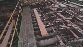 Just the job: wood processing