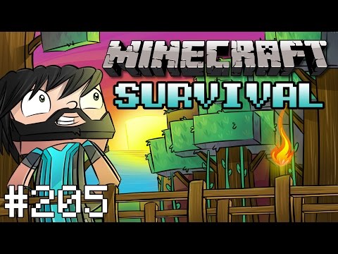 Thinknoodles - Minecraft : Survival - Witch Hut  - #205