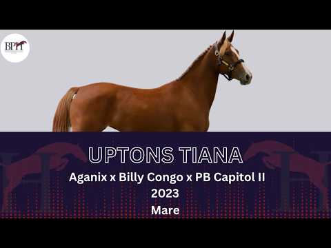 Uptons Tiana