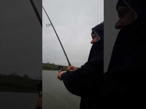 Pescuit 2017 forasti