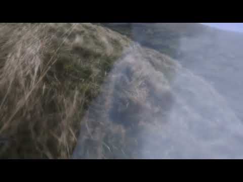 Video thumbnail for Trip