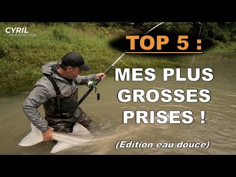 TOP 5 : MES PLUS GROSSES PRISES (Eau douce) - Cyril Chauquet