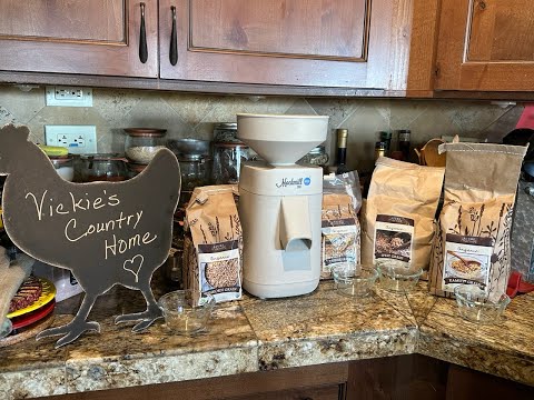 My sourdough starter died!  Starting fresh with Einkorn Wheat berries!