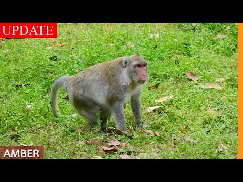 PUSH....Jane With Hope Pushing The Infant Out