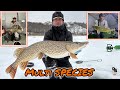 Video Thumbnail for PIKE-CATFISH-WALLEYE FISHING| ICE CAMPING WITH FRIENDS!
