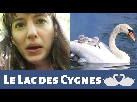 #04 Résumé du LAC DES CYGNES / TCHAIKOVSKI