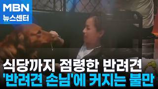 "우리 아이 생일이에요"…'반려견 손님'에 커지는 불만 [MBN 뉴스센터]