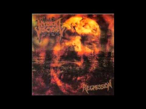 Hybrid Viscery - Regression (full album)