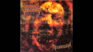 Hybrid Viscery - Regression (full album)