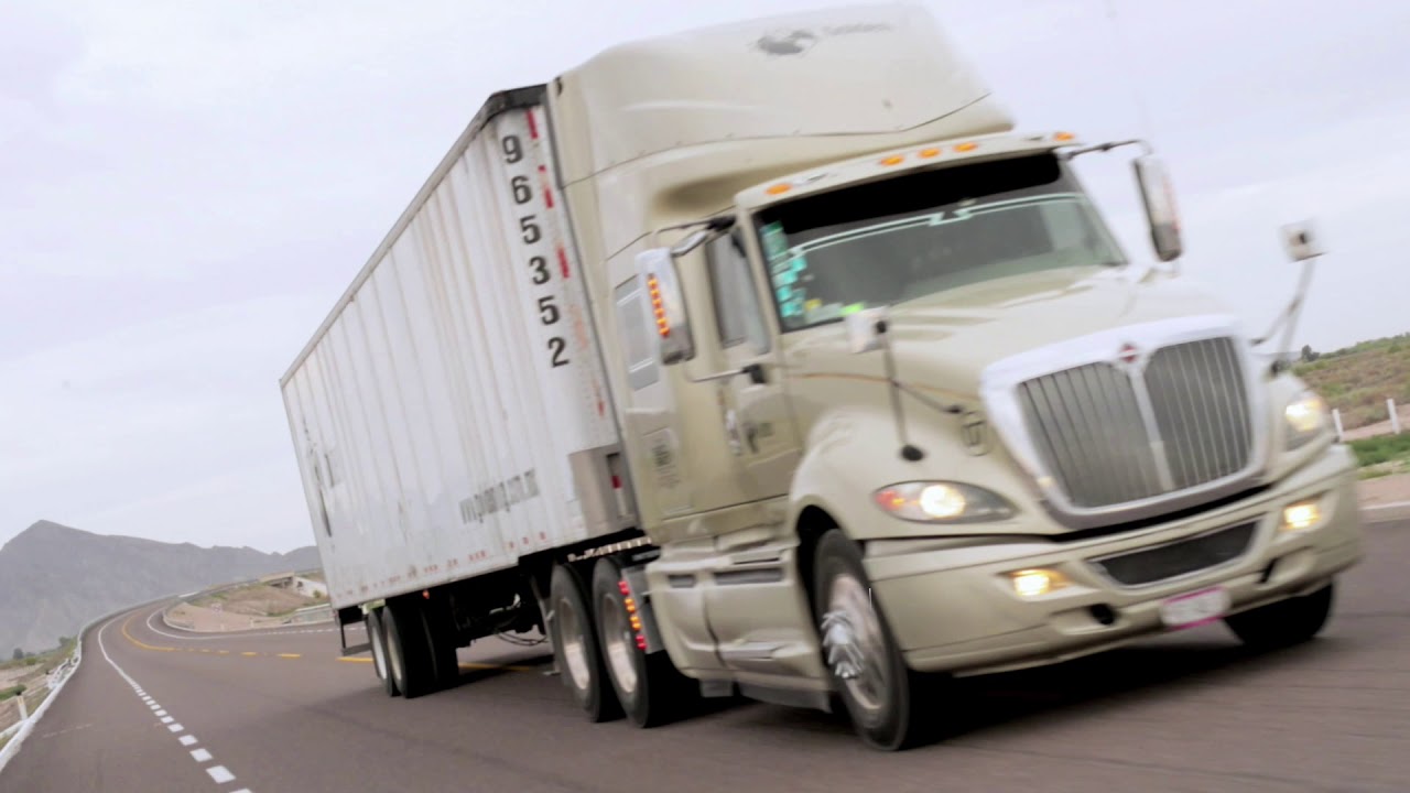 Golden Logistics - English