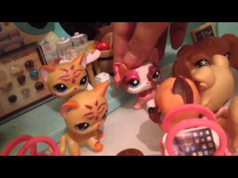 Lps:Shopping Mall Disasters