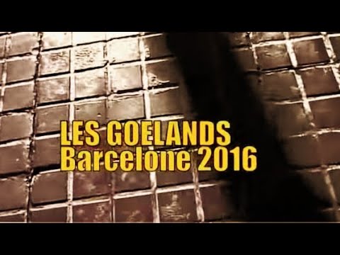 CECE GIANNOTTI & BRUNO GIMENO - Les goélands (Michel Guyader)
