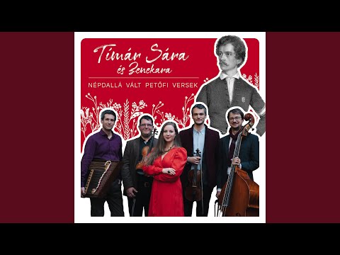 Te vagy, te vagy barna legény… (Szék, Kelet-Mezőség)