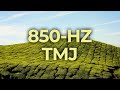 850-Hz Music Therapy for Temporomandibular Joint Disorders TMJ TMD | 40-Hz Binaural Beat | Healing