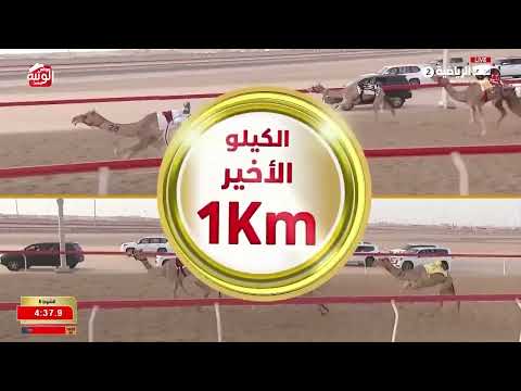 ش 6 (الشهامه) لـ حمدان محمد بن سالم علي الكتبي 6:10:61 ، شارة الديوان 2026/9/13 إيذاع الوثبة