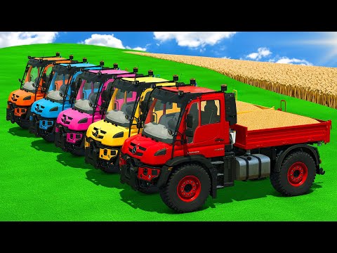Corn Harvest Hauled with Mercedes Benz Mini Trucks 🚜🌽 Farming Simulator