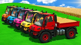 Corn Harvest Hauled with Mercedes Benz Mini Trucks 🚜🌽 Farming Simulator