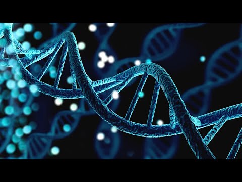 Mario Ortiz Fitness video.