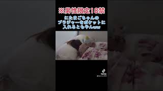 【※18禁】にたまごちゃんのブラジャーをポケットに入れて持ち帰るともやんww#レイクレ #レイクレ切り抜き #レイクレしか勝たん #レイクレ天下統一