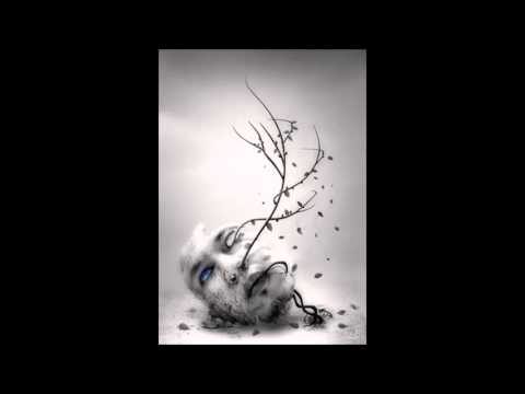 Bombax Vs Electrypnose - 28