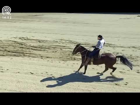 Final Freio de Ouro (RS) – 3° lugar fêmeas – Ambiciosa dos Castanheiros (Prova: Bayard/Sarmento)