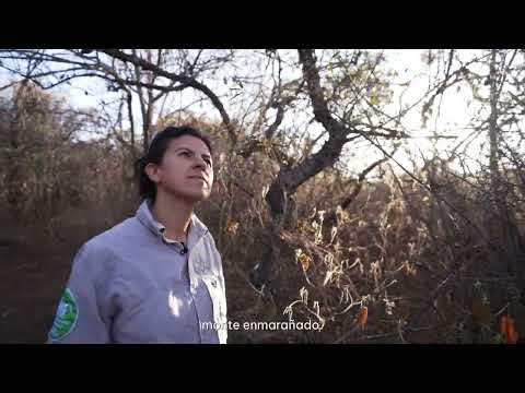 Reserva Paravachasca