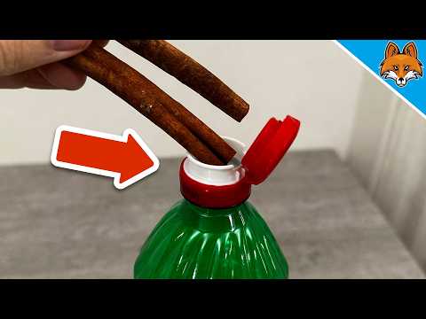 JEDER mischt Zimt und Essig💥(Der Grund ist GENIAL)🤯