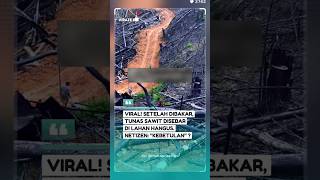Download lagu Prepare the seeds before burning 🔥🏝️ mp3