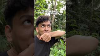 Download lagu Make a wild squirrel call sound using your hands 🐒😱 #shorts #dincup mp3