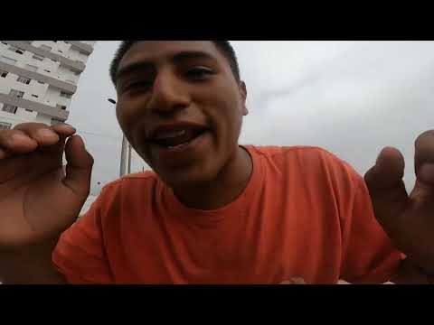 FSN vs CHEKE - GRAN FINAL - LZ POKEMON SUNRISE