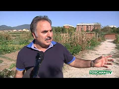 2019-08-19 PRATO - LADRI IN AZIONE NEGLI ORTI URBANI DI VIACCIA