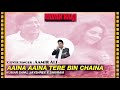 Aaina Aaina Dil Ko Tere Bin Chaina Cover By Aamir Ali