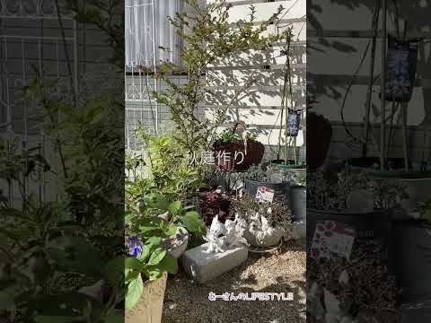 秋に窓辺のプランターに飾る花は何ですか?観賞用の最高峰種！  庭園