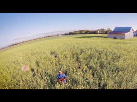 Veeble - I Don't Wanna Grow Up (Tom Waits cover)